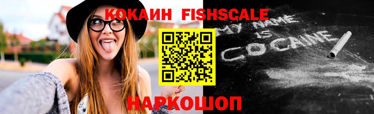 Владимир  Кокаин Fish Scale  Вход с VPN 