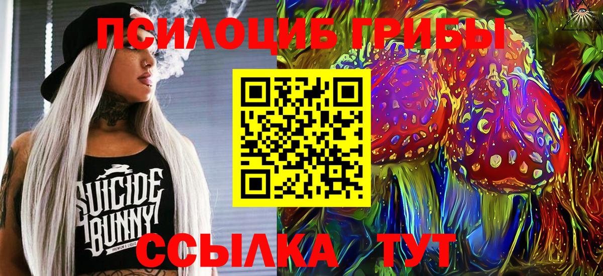 Псилоцибиновые грибы мицелий  Вход с VPN  Галлюциногенные грибы Psilocybe  Владимир 